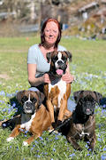 Sussie Boxer