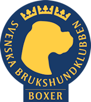 SvB